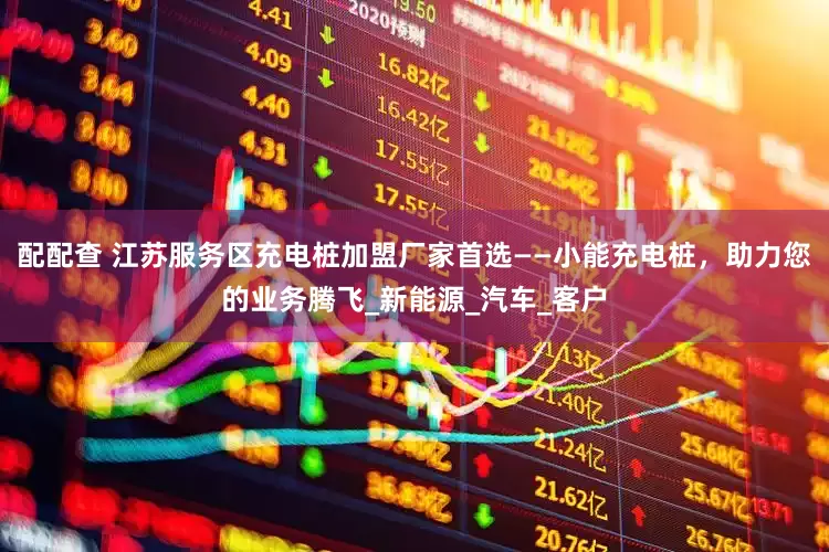 配配查 江苏服务区充电桩加盟厂家首选——小能充电桩，助力您的业务腾飞_新能源_汽车_客户